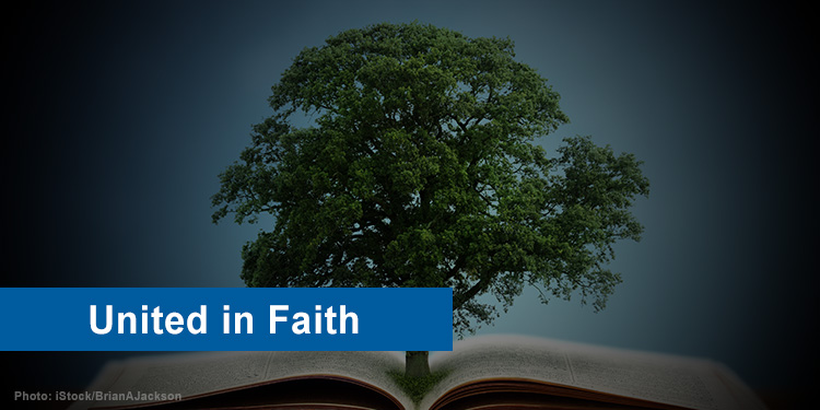 Book laying open with a tree growing from the center of the pages.