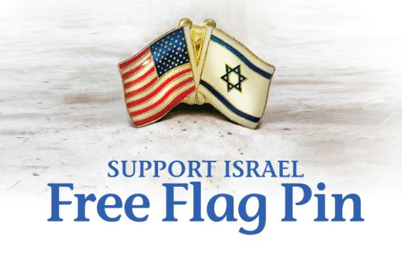 US and Israel Flag Pin